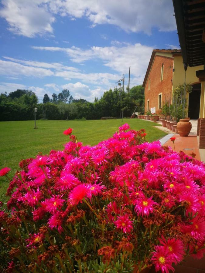 B&B La Fornace Del Sole Capannori Buitenkant foto