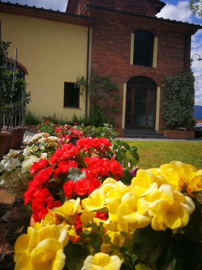 B&B La Fornace Del Sole Capannori Buitenkant foto