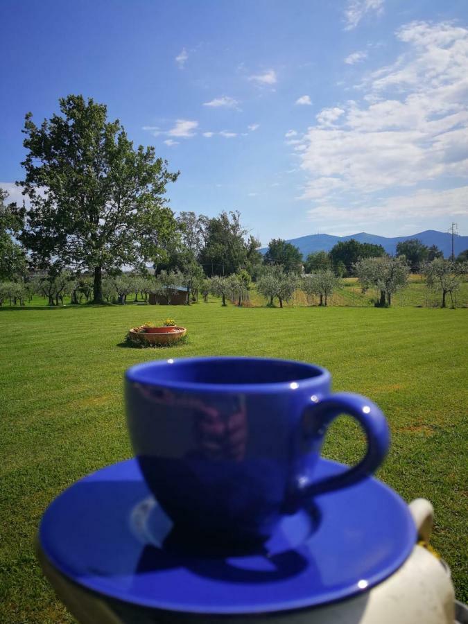 B&B La Fornace Del Sole Capannori Buitenkant foto