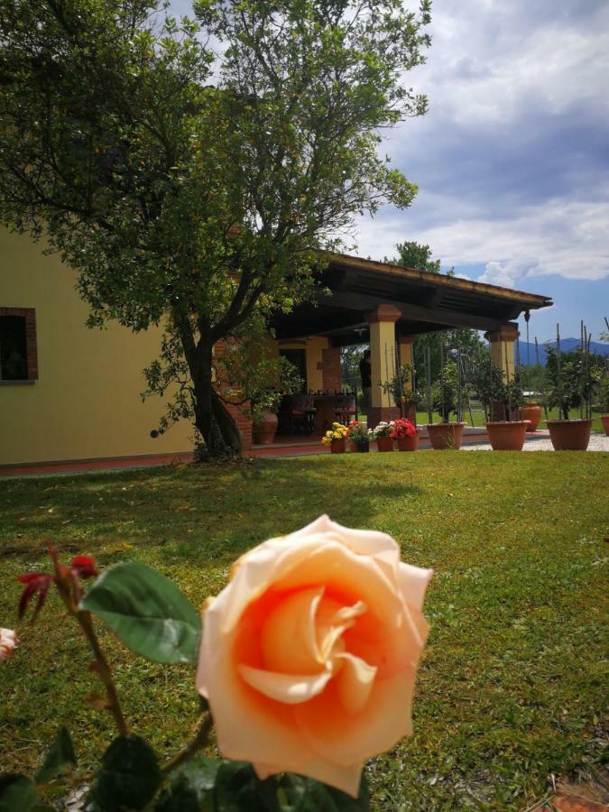 B&B La Fornace Del Sole Capannori Buitenkant foto